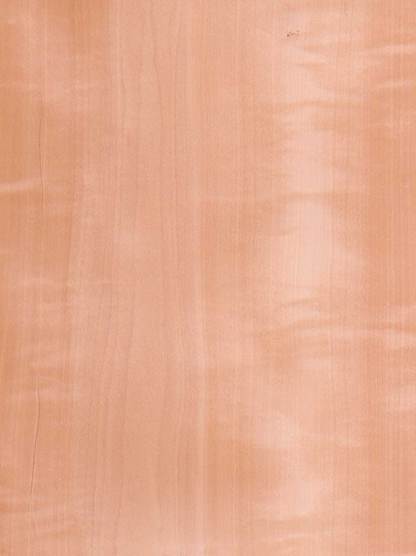 ���N�M(j��n)��ľƤ��Ԕ��(x��)��B