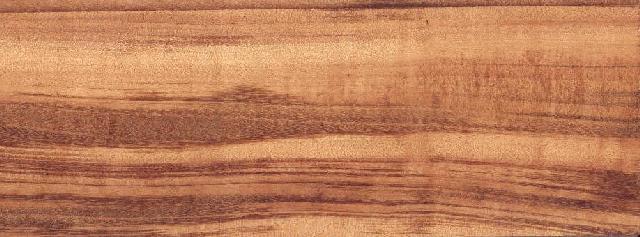 Urunday (Tigerwood) Blow-up Fo��Ԕ��(x��)��B