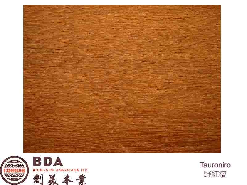 �ټt̴ / ����ľ  Tauroniro ( Humiri