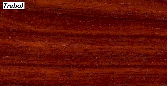 Trebol��Ԕ��(x��)��B