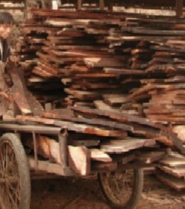 �sľ��Ȼ�����Ԕ��(x��)��B