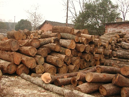 ����ľ,��ľ(�t��,����)��ľ,���ľ.