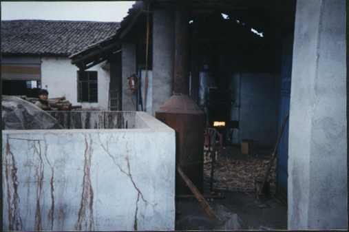 Ó֬��ɵ�Ԕ��(x��)��B