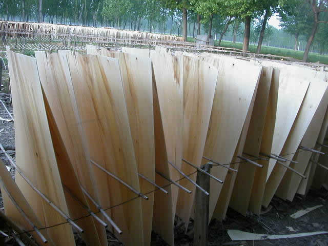 �ΰ��Ԕ��(x��)��B