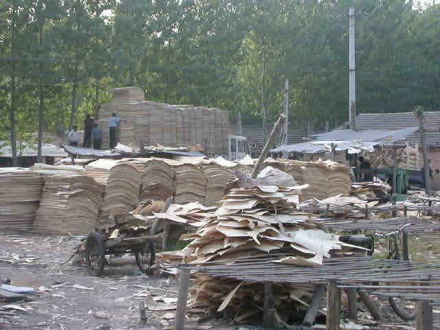 ��ľ�ΰ��Ԕ��(x��)��B