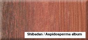 Shibadan��Ԕ��(x��)��B