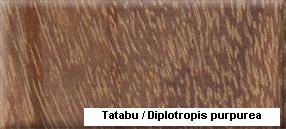 Tatabu��Ԕ��(x��)��B