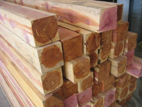 �����t��ɼ/Red cedarԭľ�Ͱ�ĵ�Ԕ��(x��)��B