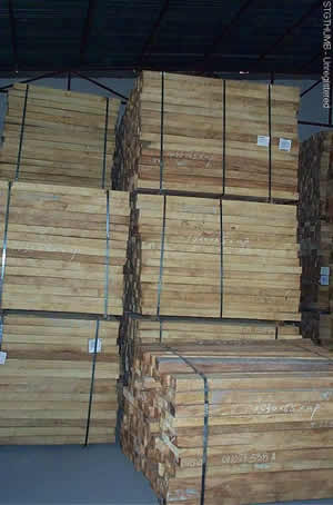 ����կ�M�����zľ��Ԕ����B