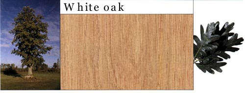 White Oak �����Ԕ��(x��)��B