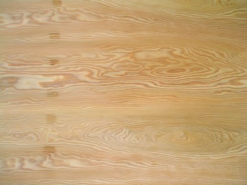 ��ľ�z�Ϸ���Ԕ����B