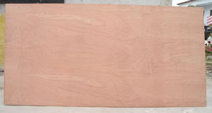 ���ǹ��z�ϰ��Ԕ����B