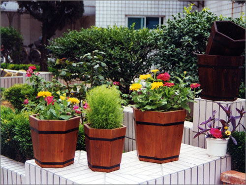 ���Ƿ�Ͱ HEXAGONAL FLOWER BUCKET��Ԕ����B