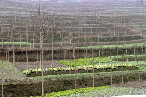 �F�ݻ��ؘO�ѵ����ؗl����Ԕ����B