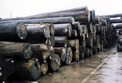 ����ľ��Ԕ��(x��)��B