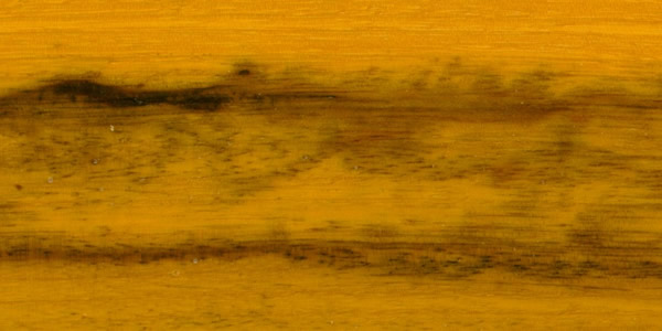 ����ľ�ģ�Sucupira Amarela��Ԕ����B