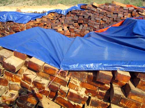 ������ľ���ϵ�Ԕ����B