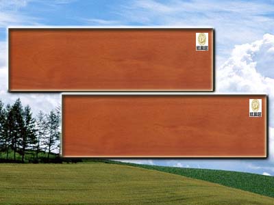 ����ľ��Ԕ��(x��)��B