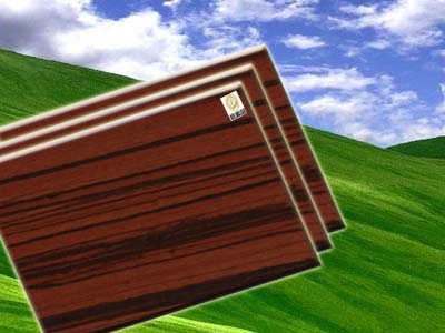 ���Rľ��Ԕ��(x��)��B