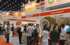 �Ϻ������չ